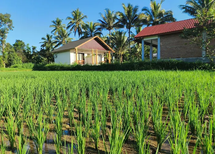 Vaniglia House Tetebatu