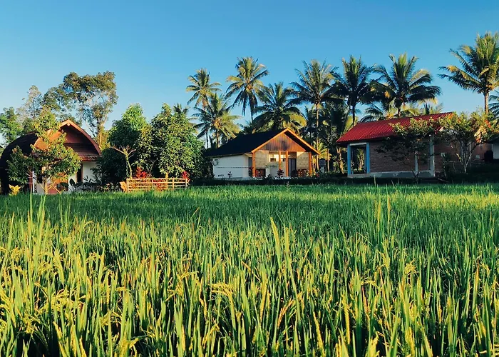 Bale Tetebatu