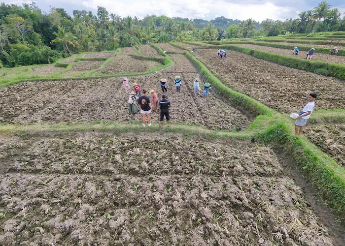Bamboo Craft Homestay