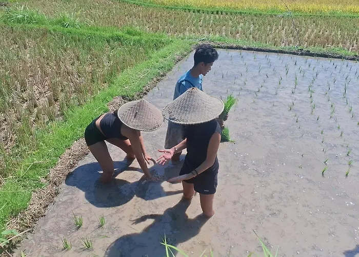 Bamboo Craft Homestay